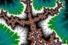Trifid